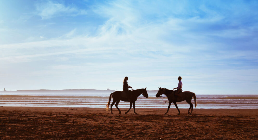 horses on a beach