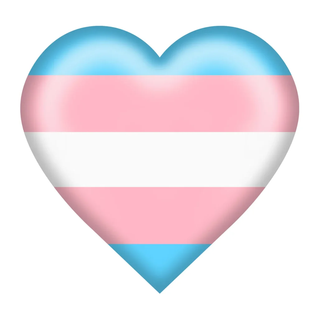 Trans flag in shape of heart signifying trans couple love.